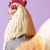 COQ