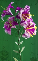 fleur01